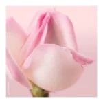 5952-medium_default_nuxe-lotion-tonique-douce-aux-petales-de-rose-200ml-visage-et-yeux-peaux-sensibles-normales-a-seches-1.webp