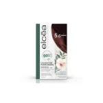 ELCEA COLORATION EXPERTE AUBURN N5.6